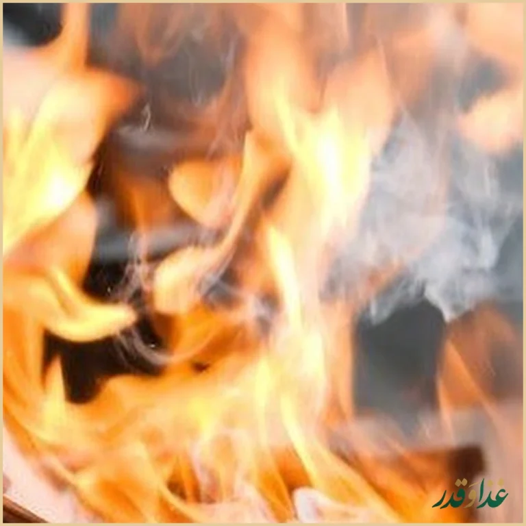 کافه رستوران رُكُ پارك