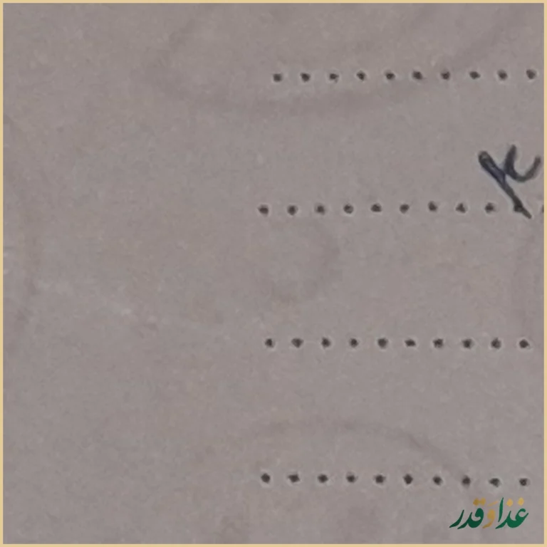 فست فود مادر