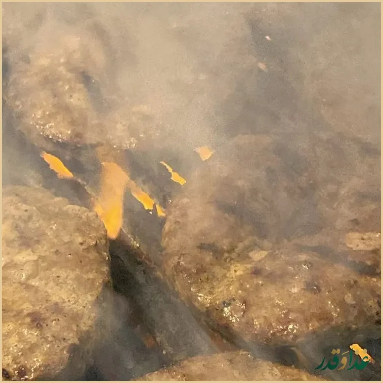 برگر هاکوپیان