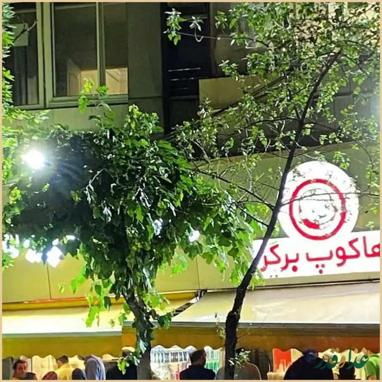 برگر هاکوپیان