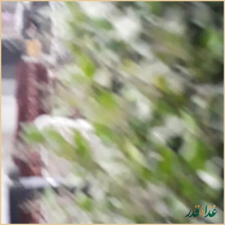 رستوران شنزار