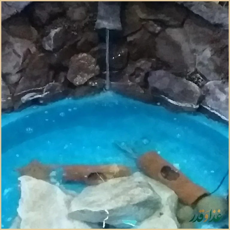 رستوران ماسوله