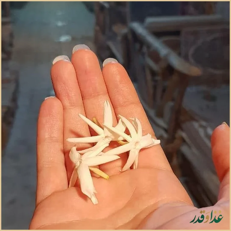 رستوران نیایش