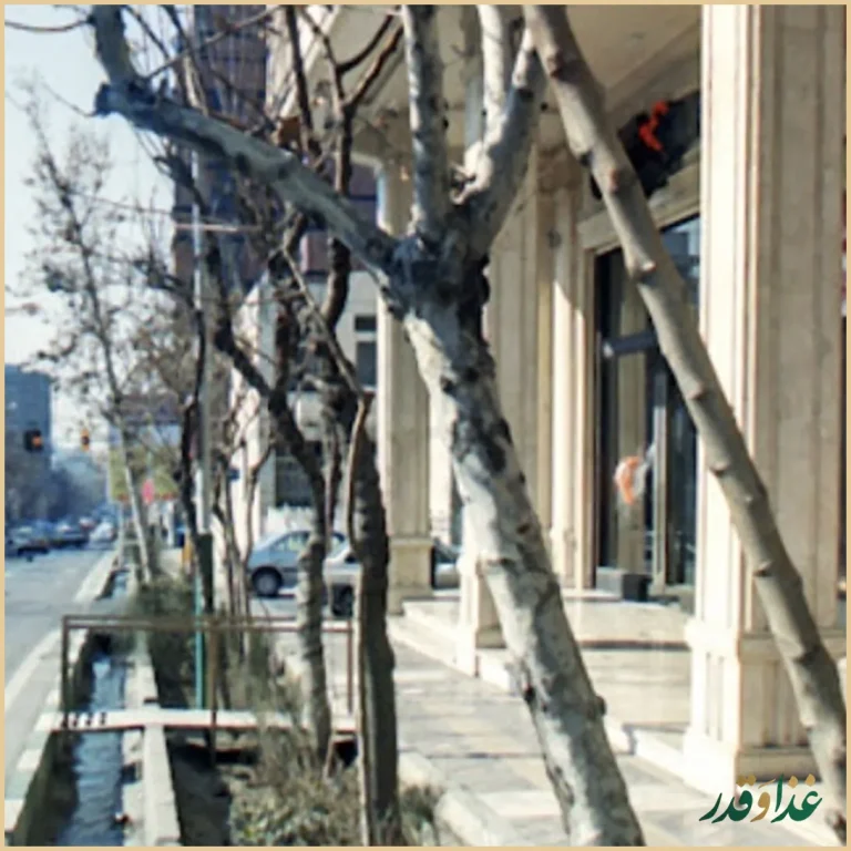 رستوران شاندیز ماهان