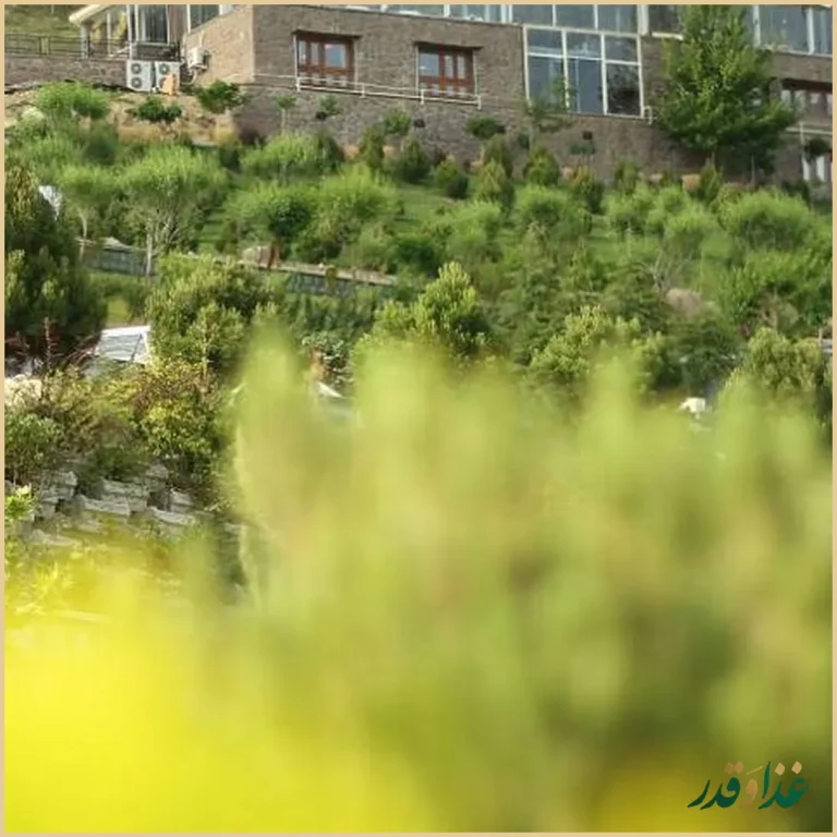 کافه رستوران آبشار