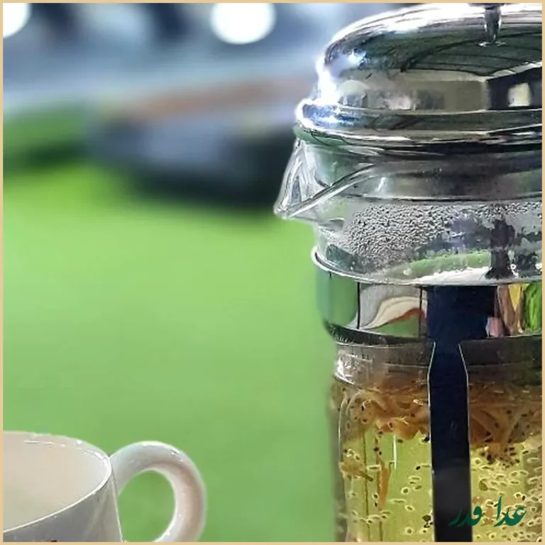 غذای رژیمی طهماسب_بوفه