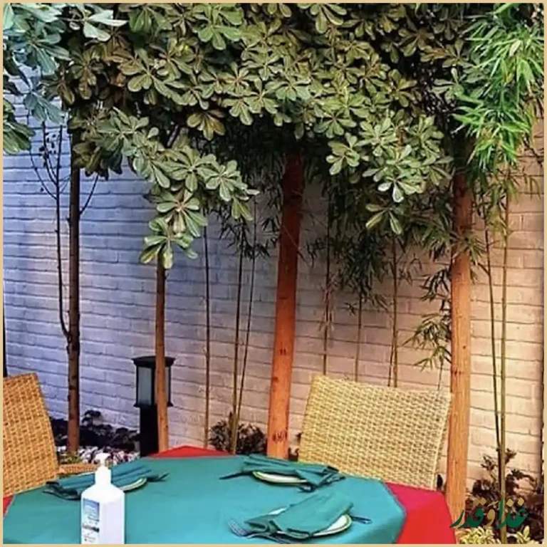 رستوران فردیس