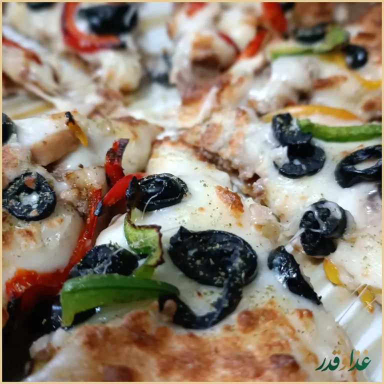 دونر کباب پاپاراد