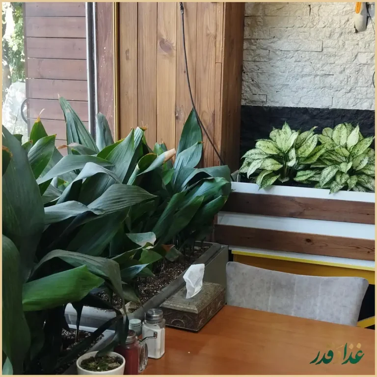 رستوران غذای ایرانی پینار