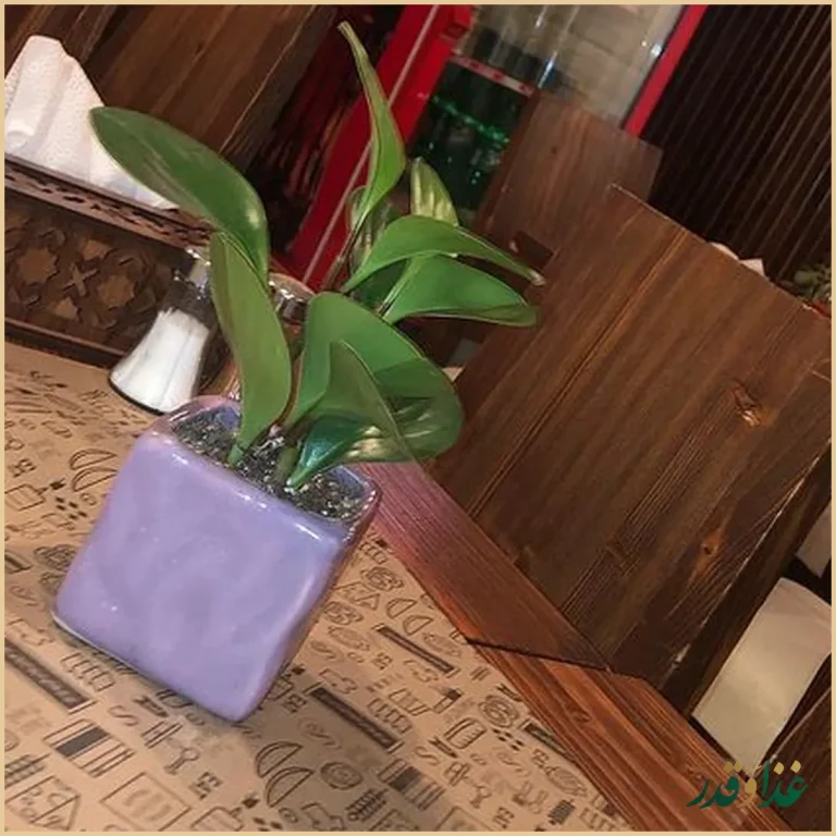 فست فود کاپو پیتزا