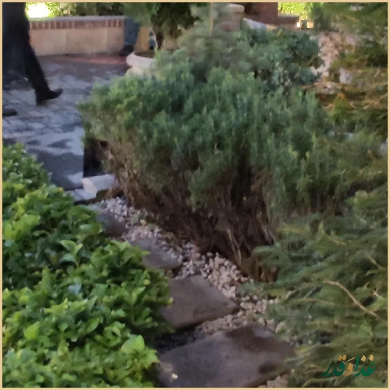 باغ رستوران لرد