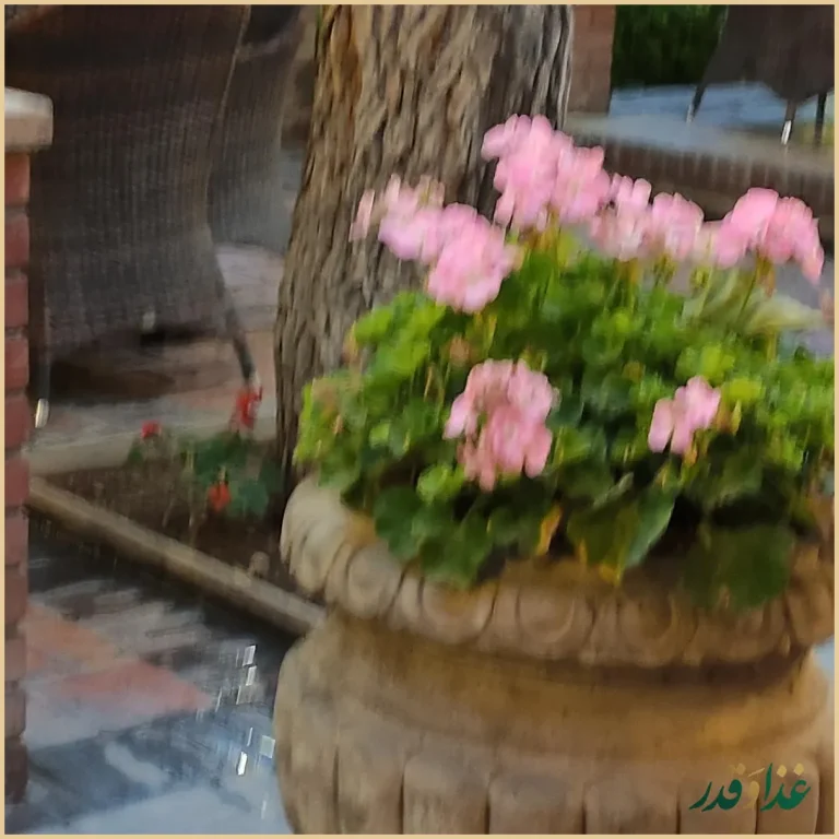 باغ رستوران لرد