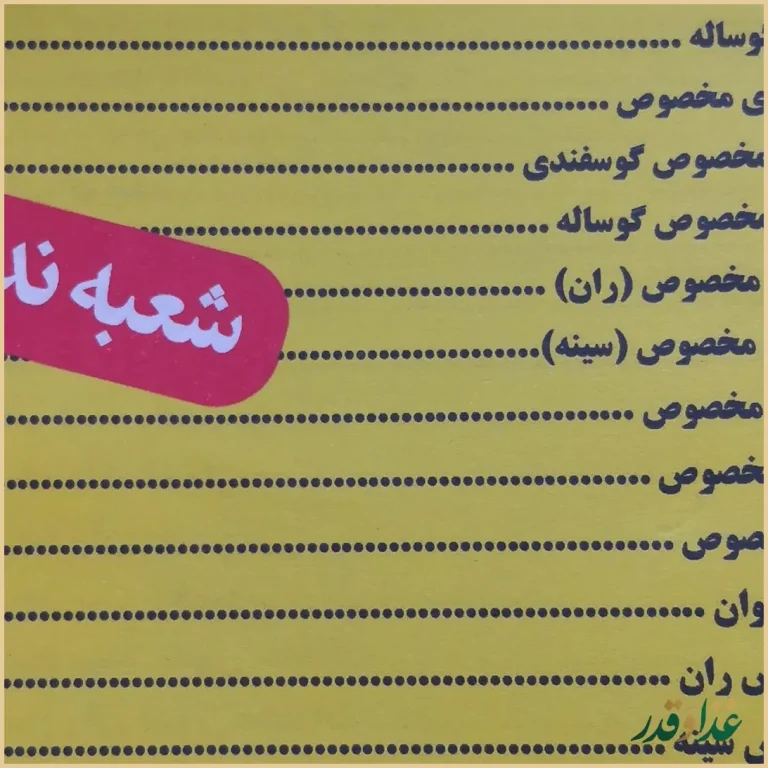 کبابی صداقت اصل