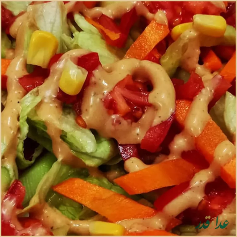 فست فود سلوا