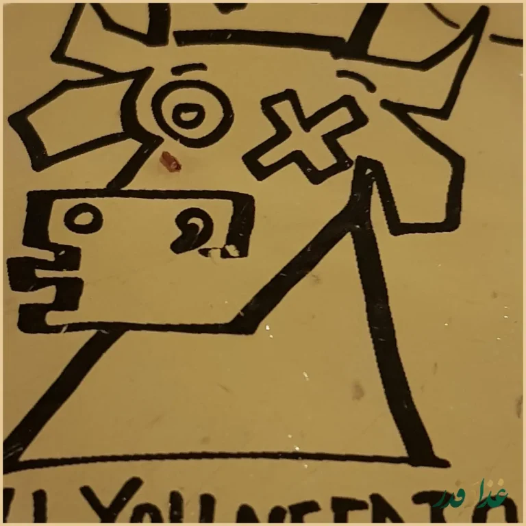 دان تان برگر پلنت