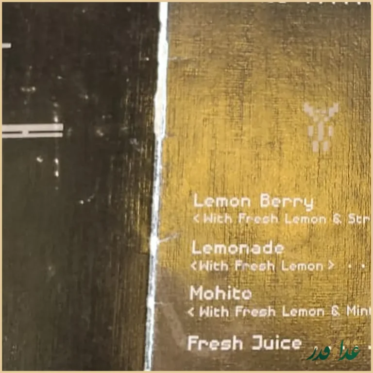 دان تان برگر پلنت