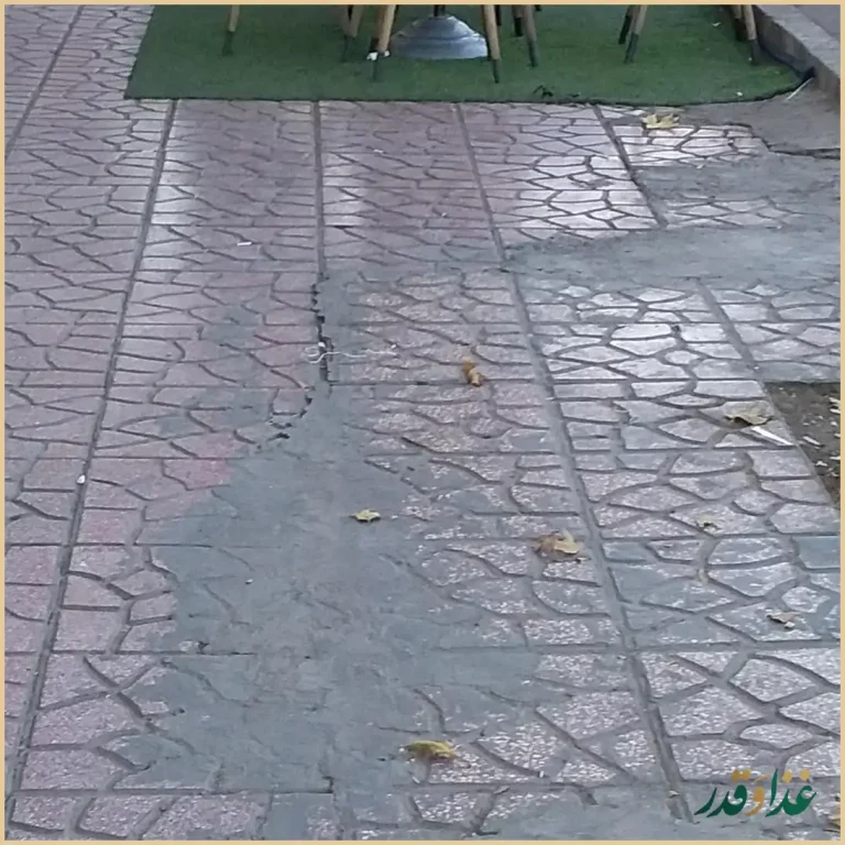 پیتزا و ساندویچ ما 2تا