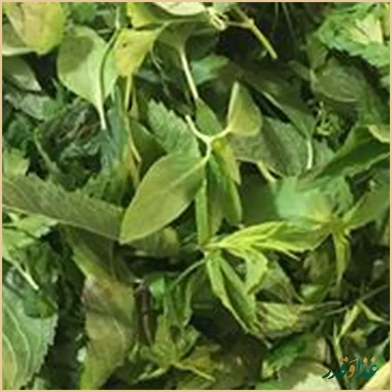 رستوران خوان آپادانا