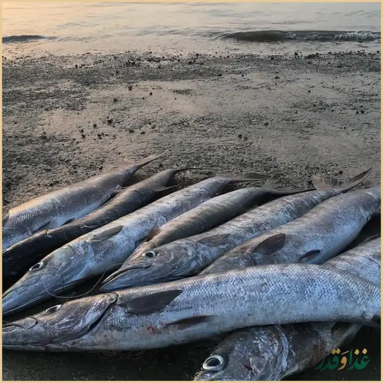 رستوران خوان آپادانا