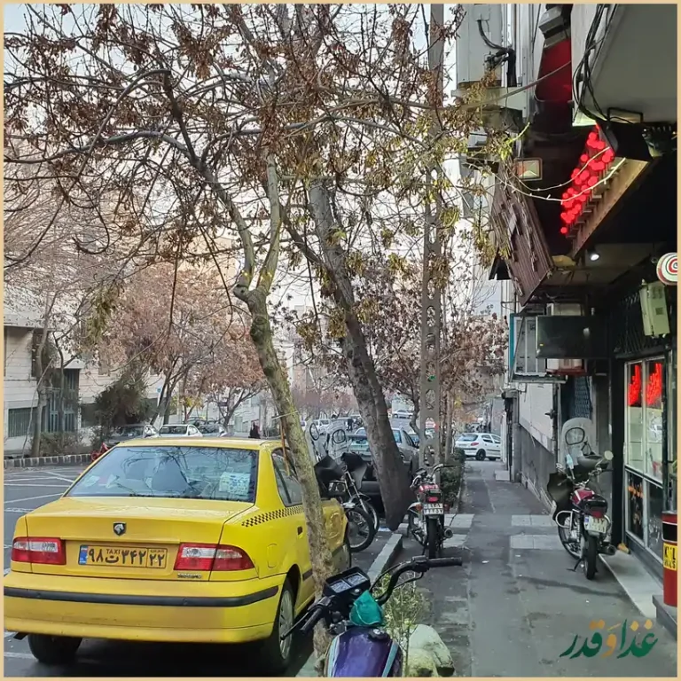 کافه پارادیزو