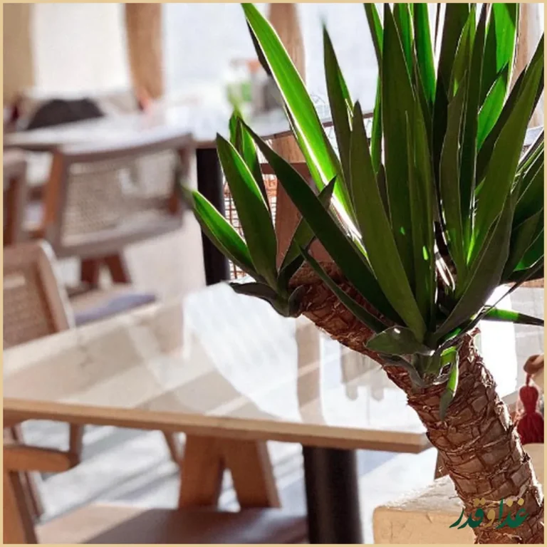 رستوران سارو