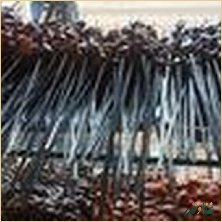 رسول جیگرکی