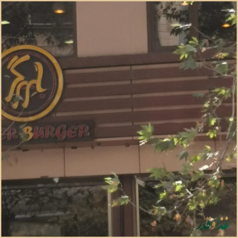 فست فود بابر برگر