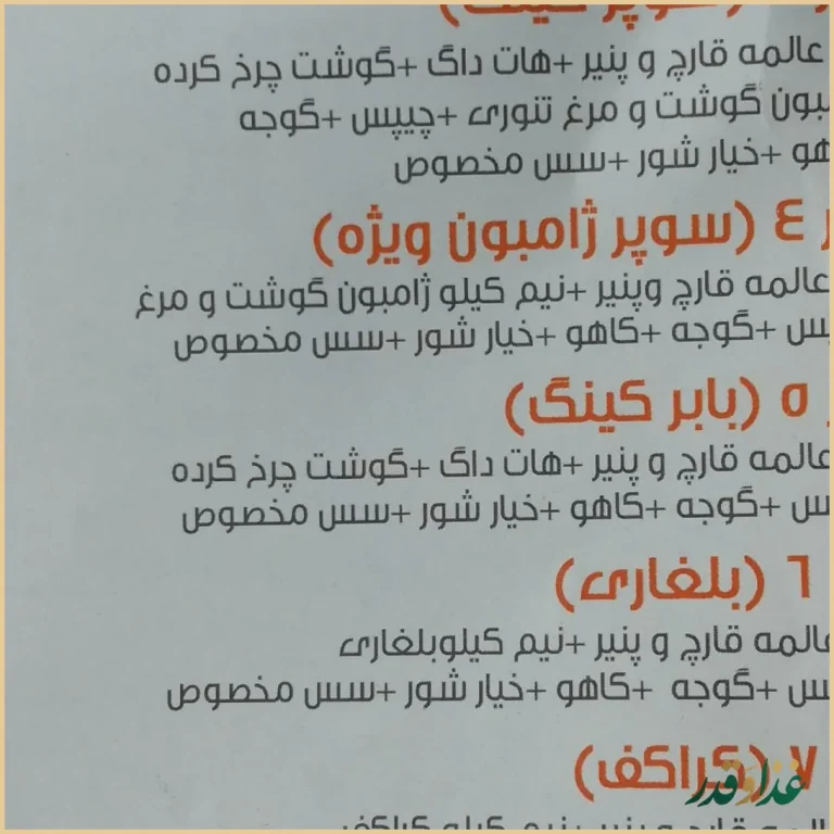 فست فود بابر برگر