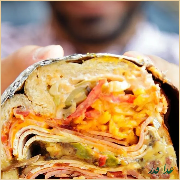 فست فود بابر برگر