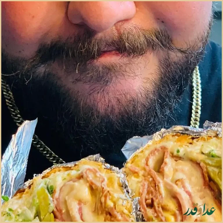 فست فود بابر برگر