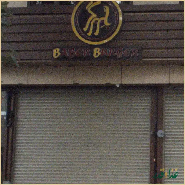 فست فود بابر برگر