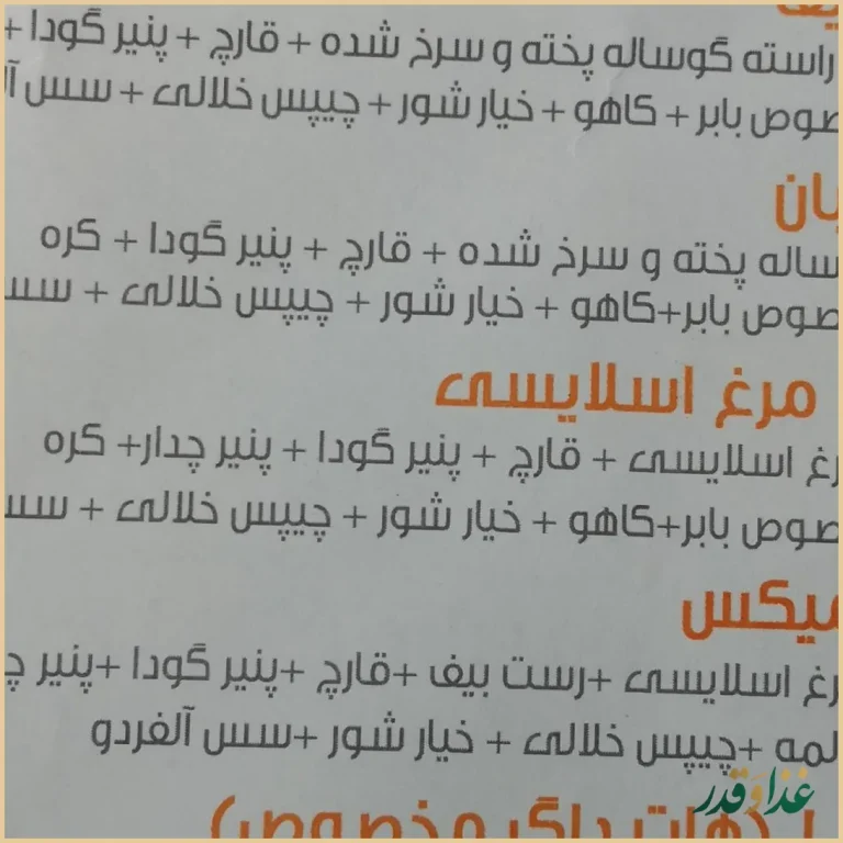 فست فود بابر برگر