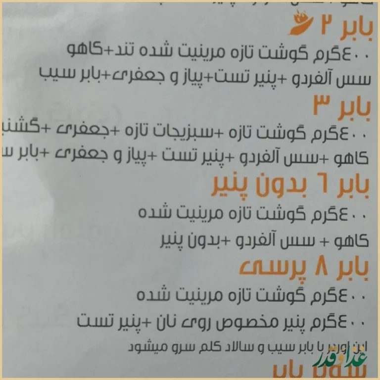 فست فود بابر برگر