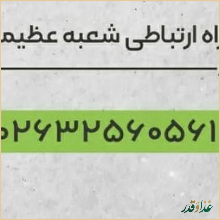 برگر ویل