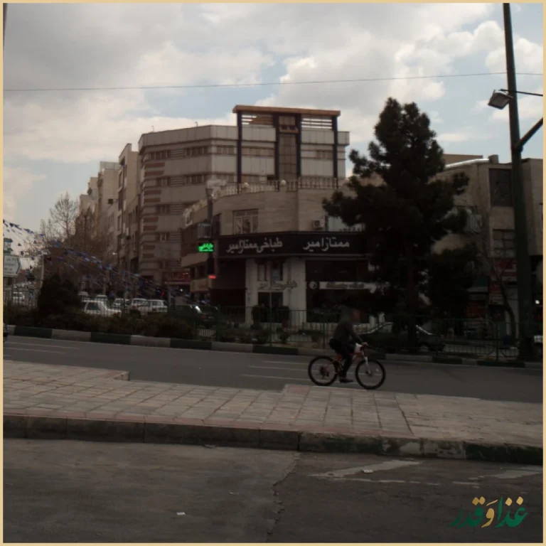 طباخی ممتاز امیر