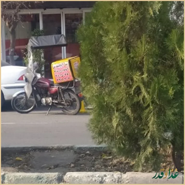 مرغ سوخاری و پیتزا پاپینوس