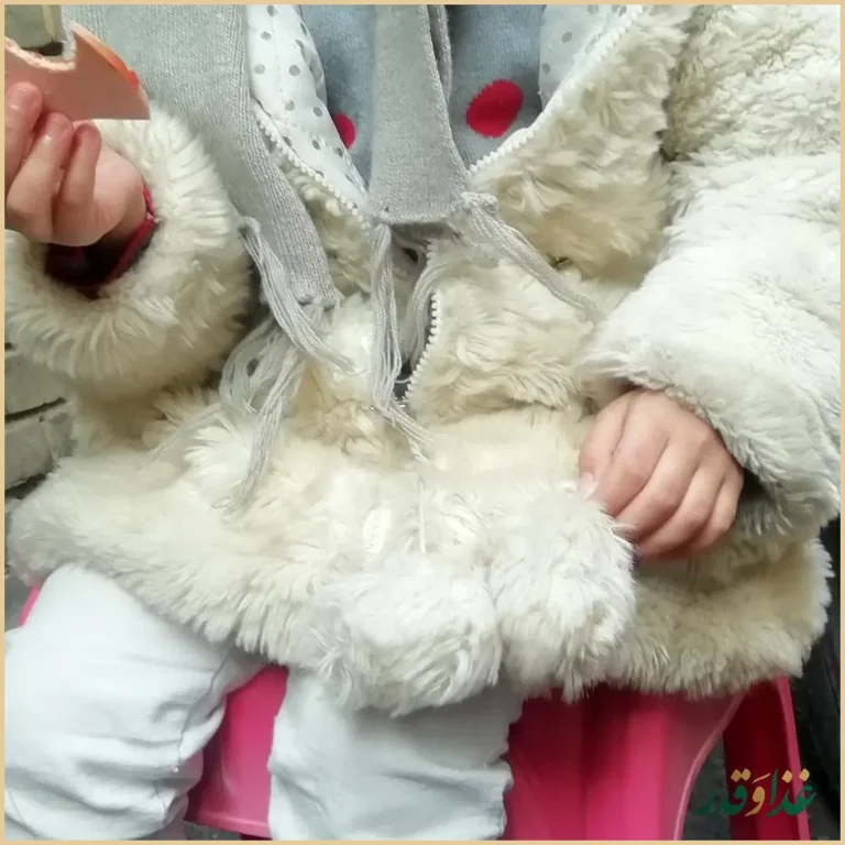 پیتزا داوود