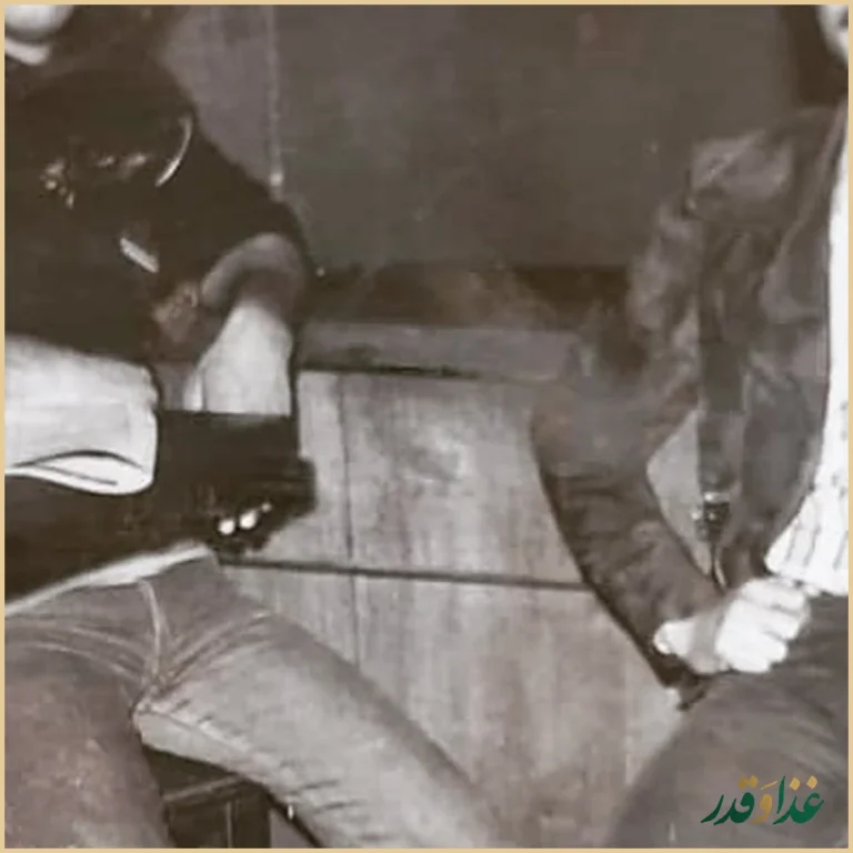 پیتزا داوود