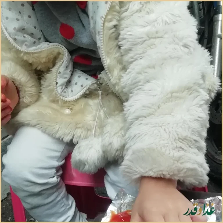 پیتزا داوود