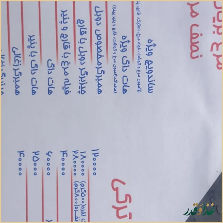 فست فود پیتزای دو قلو