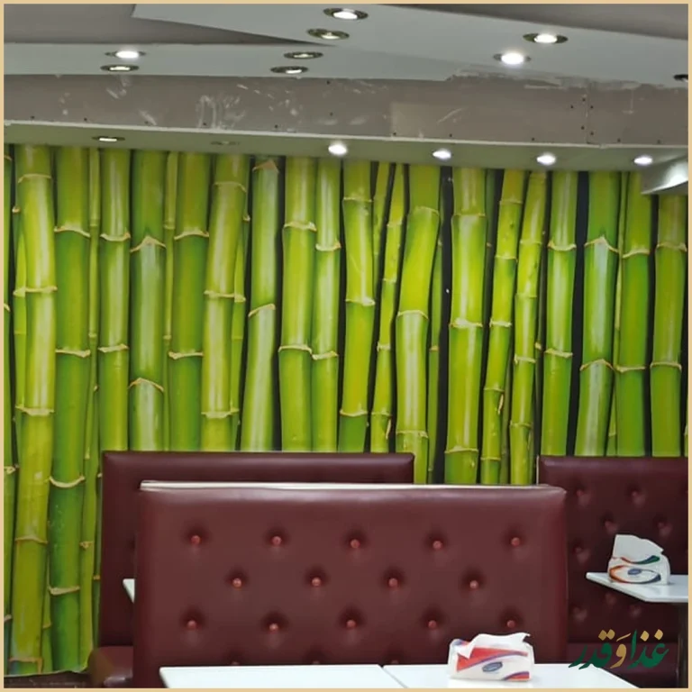 فست فود پیتزای دو قلو