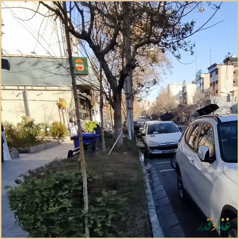 پیتزا بیگ بوی نیک بو