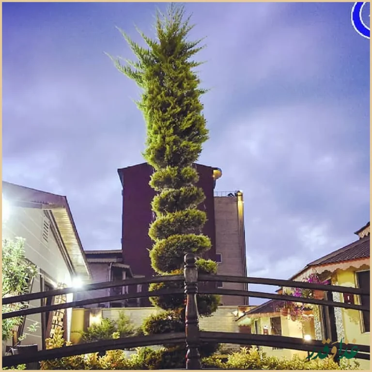 رستوران سنتی شبستان