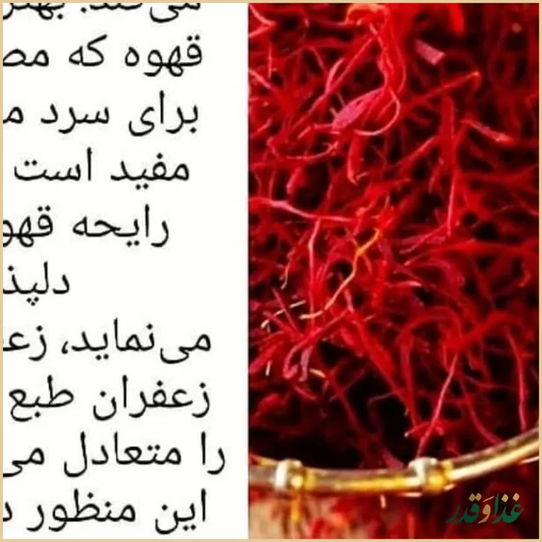 برگر دلشاد