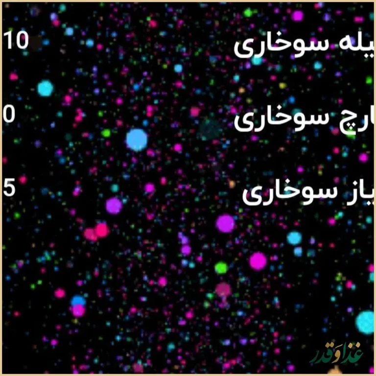 کافه نایریکا پلاس