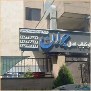 چلوکباب جوان