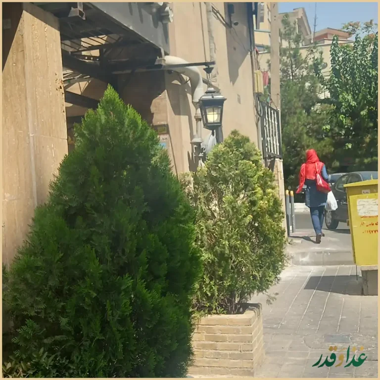 چلوکباب جوان