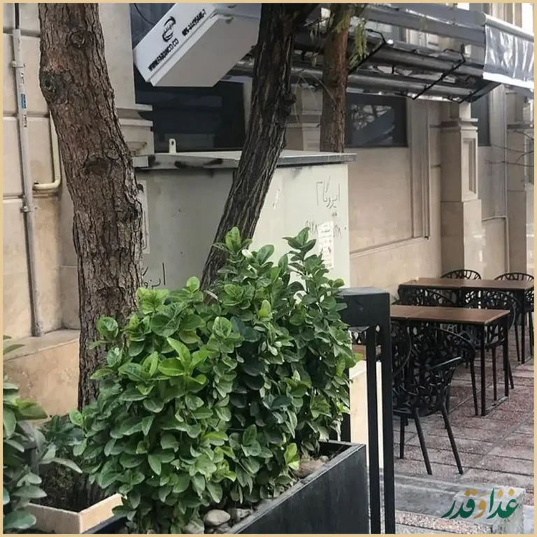 کافه بارزیل