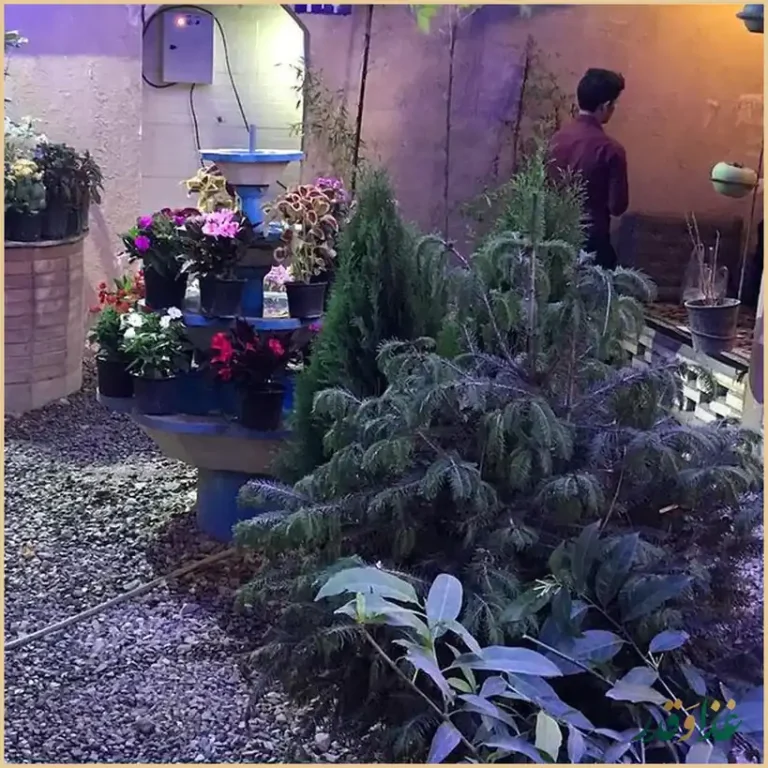 رستوران سنتی صاحبدلان ستارخان