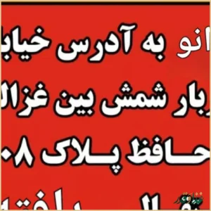 پیتزا پارمیس برادران افقی